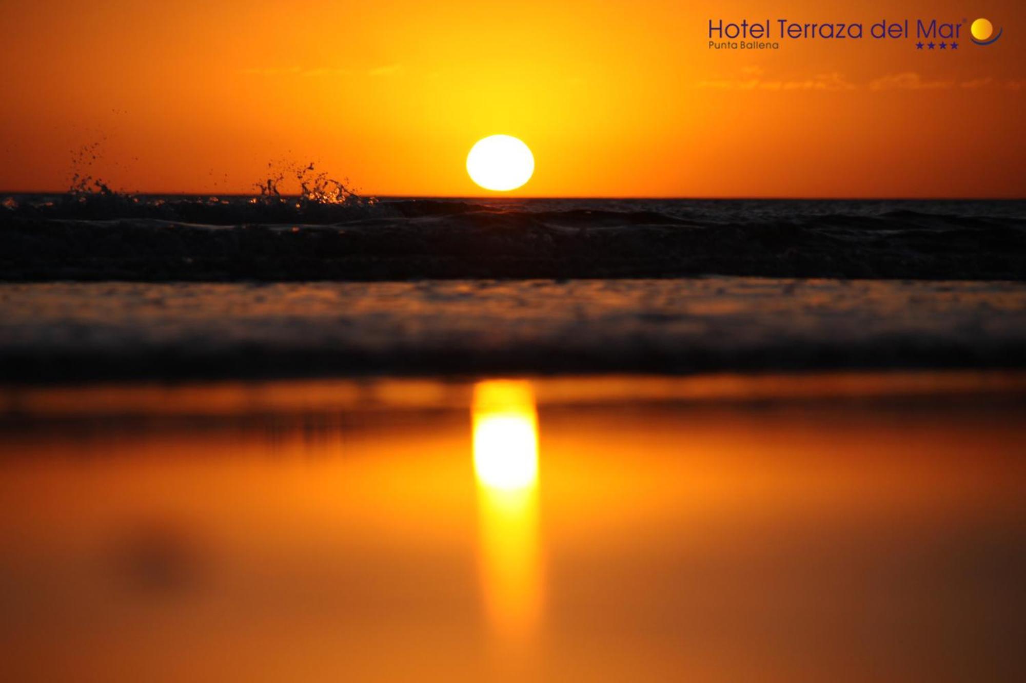 Hotel Terraza Del Mar プンタ・バジェーナ エクステリア 写真